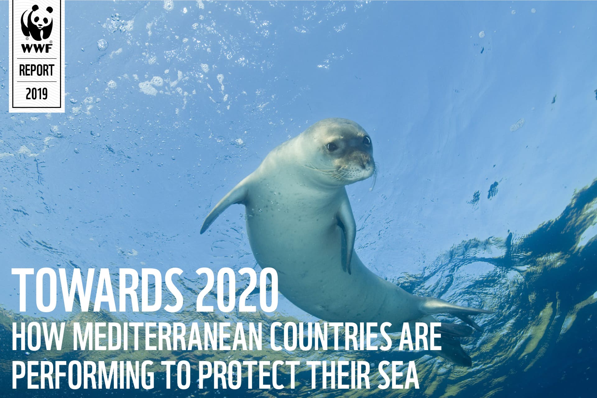 WWF Case Study
